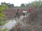 IMG-20251106-WA0056