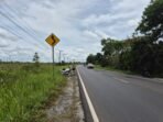 IMG-20251117-WA0121