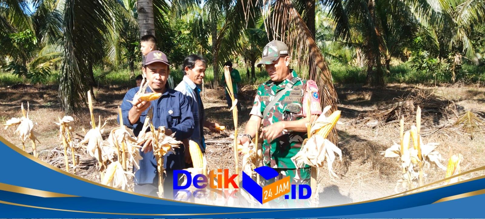 IMG-20251218-WA0056