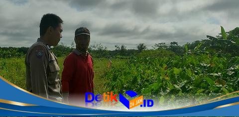 IMG-20251224-WA0132