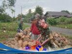 IMG-20260109-WA0116