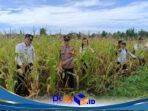 IMG-20260114-WA0067