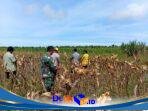 IMG-20260119-WA0097