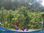 IMG-20260130-WA0065