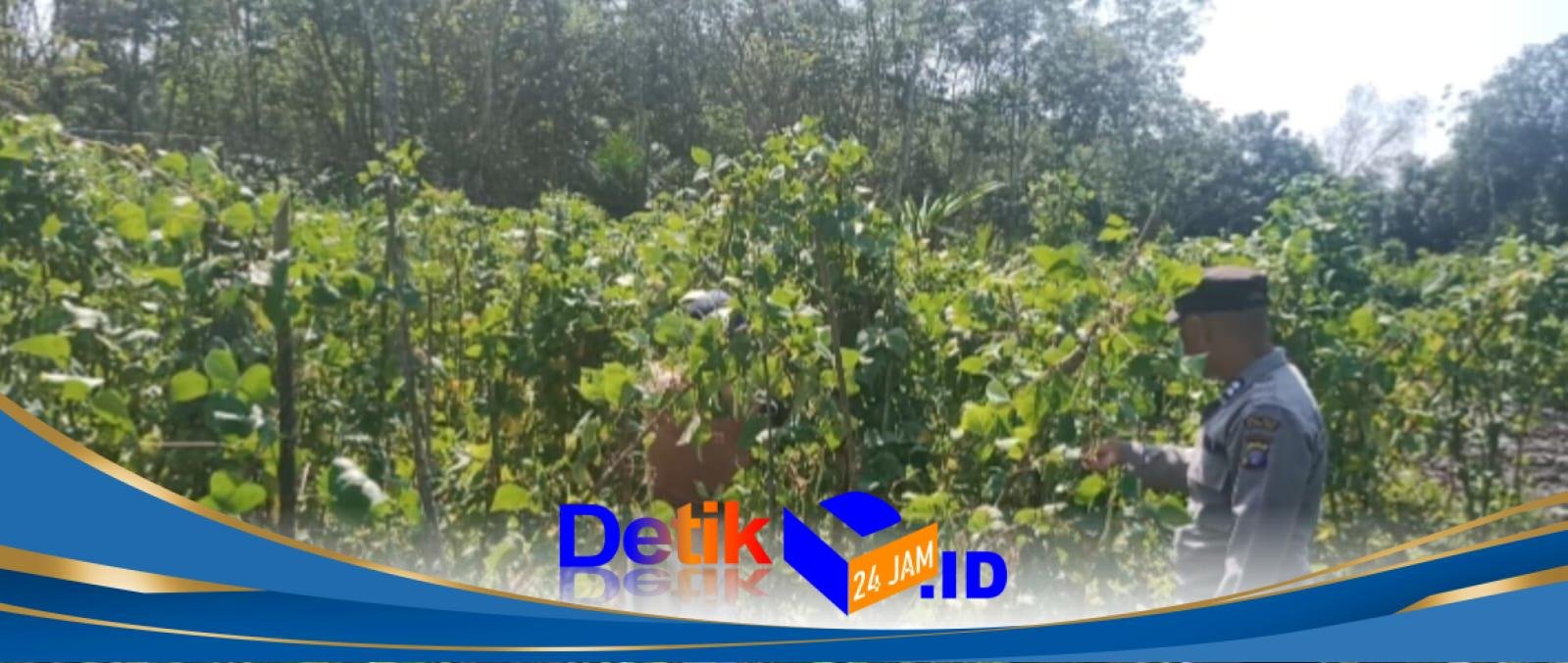IMG-20260130-WA0065