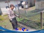 IMG-20260201-WA0017