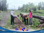 IMG-20260201-WA0022