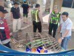 IMG-20260202-WA0028