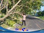 IMG-20260203-WA0037