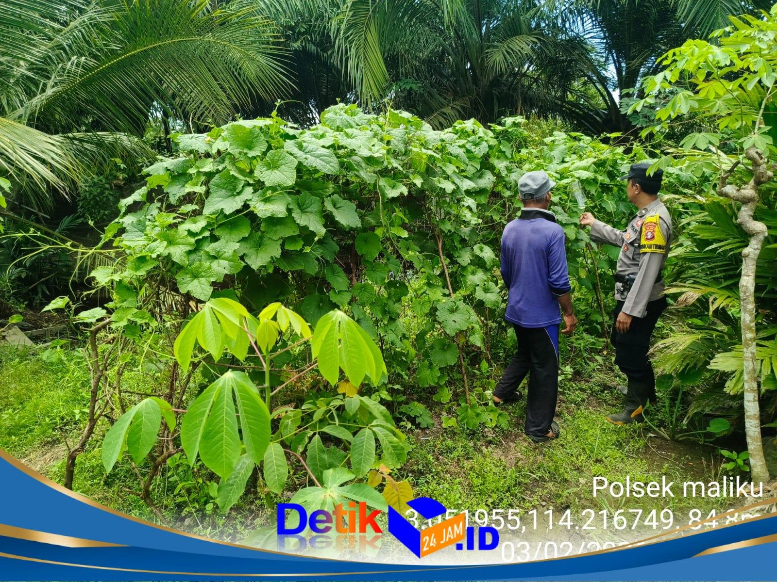 IMG-20260204-WA0054