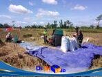 IMG-20260207-WA0044