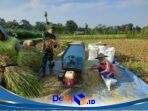 IMG-20260412-WA0106