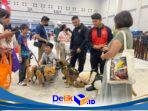IMG-20260413-WA0053