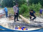 IMG-20260421-WA0258