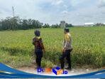 IMG-20260508-WA0206