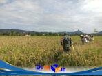 IMG-20260512-WA0149