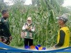 IMG-20260514-WA0080