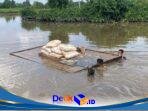 IMG-20260514-WA0088