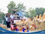 IMG-20260517-WA0529