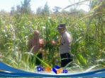 IMG-20260525-WA0125