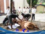 IMG-20260527-WA0144