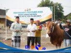 IMG-20260527-WA0154