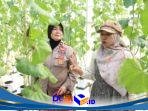 IMG-20260529-WA0148