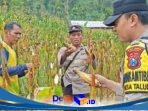 IMG-20260530-WA0153