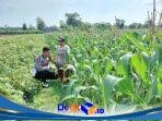IMG-20260602-WA0059