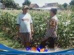 IMG-20260603-WA0145