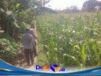 IMG-20260603-WA0192