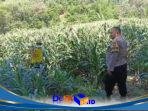 IMG-20260603-WA0518
