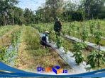 IMG-20260607-WA0062