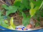 IMG-20260607-WA0326