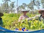 IMG-20260608-WA0085