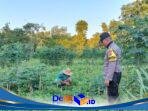 IMG-20260611-WA0101
