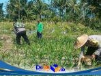 IMG-20260611-WA0253