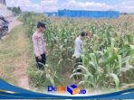 IMG-20260611-WA0292