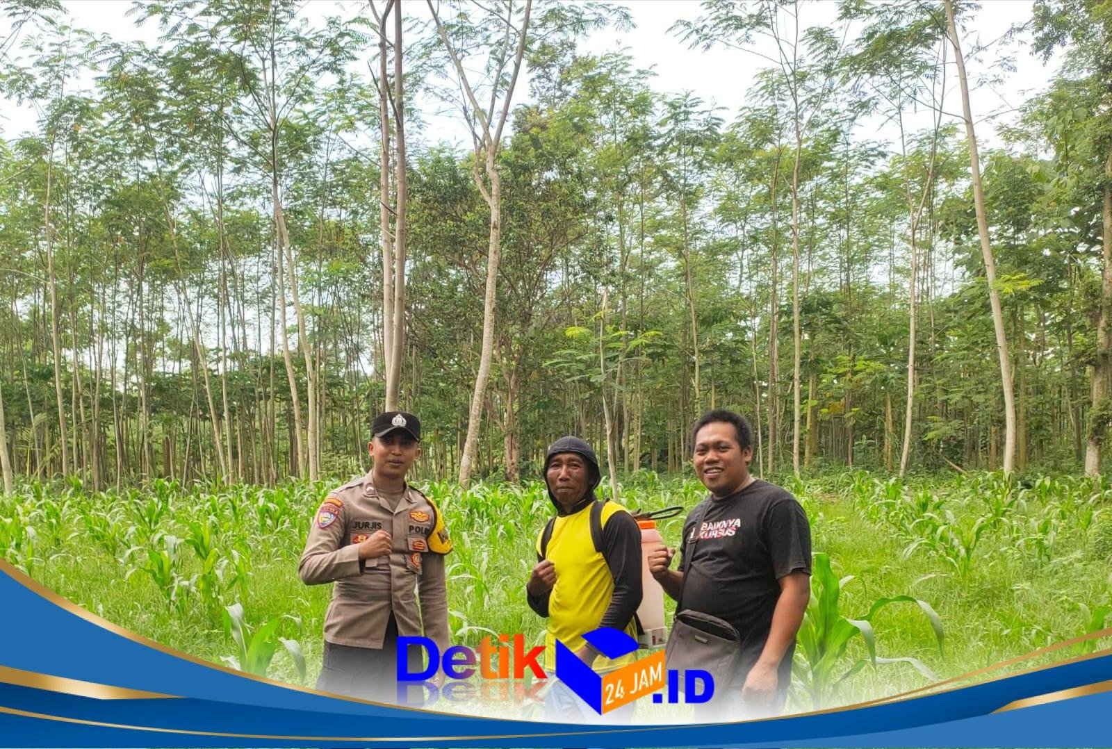 IMG-20260614-WA0330