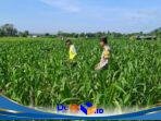 IMG-20260614-WA0353