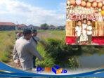 IMG-20260614-WA0354