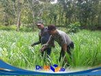 IMG-20260616-WA0218