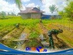 IMG-20260616-WA0229