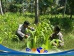 IMG-20260617-WA0085