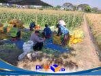 IMG-20260619-WA0089