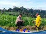 IMG-20260620-WA0037