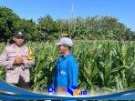 IMG-20260622-WA0369