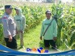 IMG-20260624-WA0172(1)
