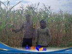 IMG-20260625-WA0136