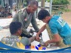 IMG-20260626-WA0102